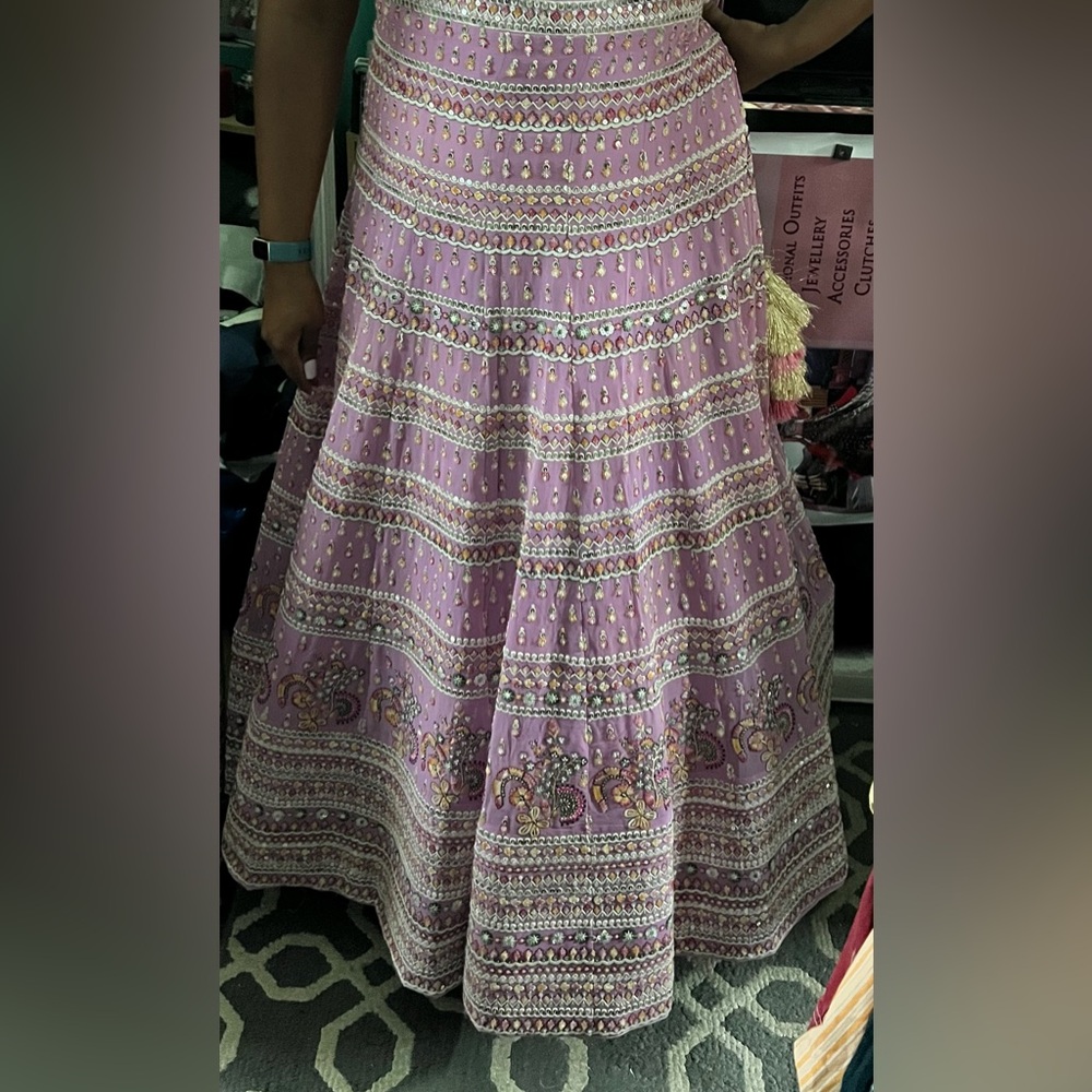 Pink Lehenga Set With Detailed Embroidery - Picture 5 of 6